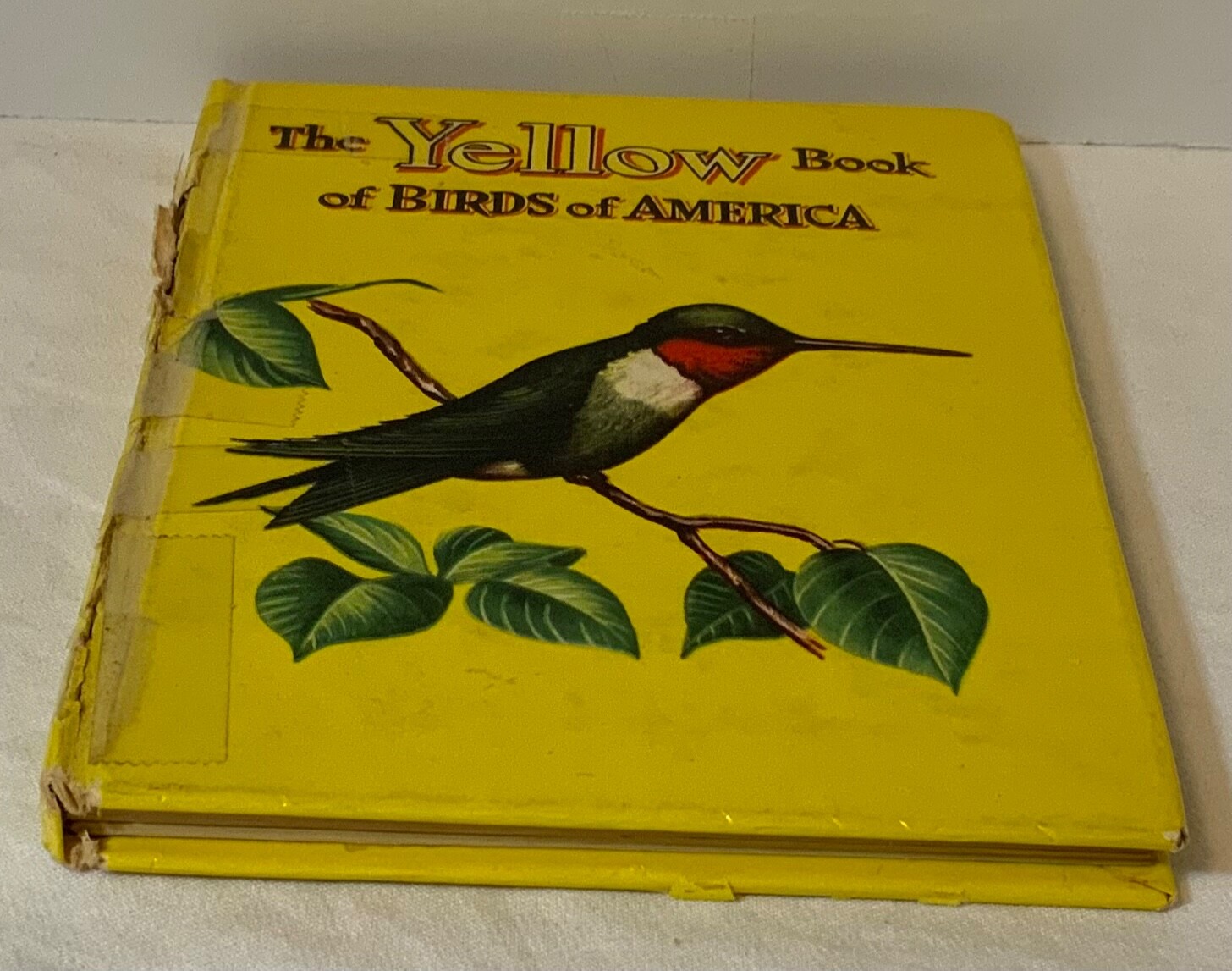 VTG 1954 The Yellow Book of Birds Of America Whitman Publishing 2978:25 HTF