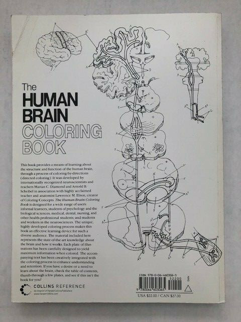 The Human Brain Coloring Book by Diamond, Scheibel, Elson (301 pages no damage)