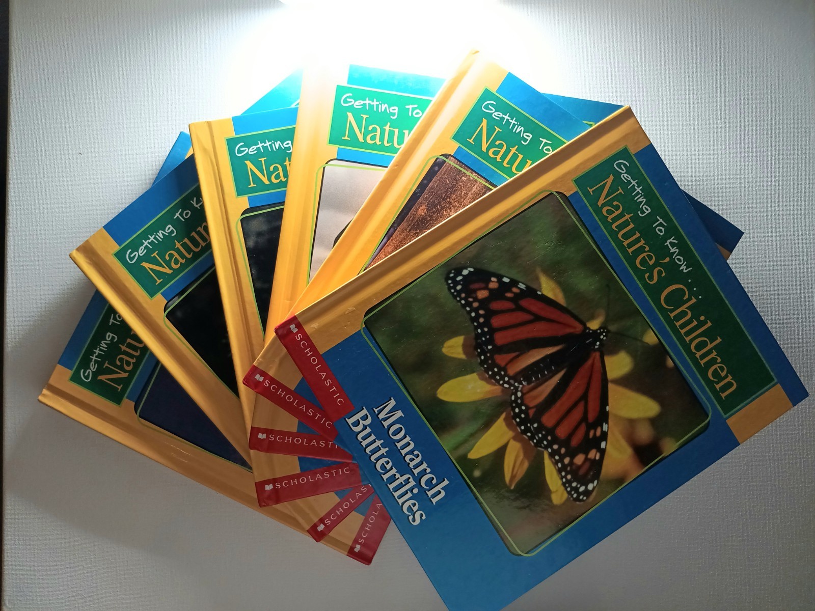 Scholastic Getting to know Nature’s children Animal Books Lot of 6 (hard cover)