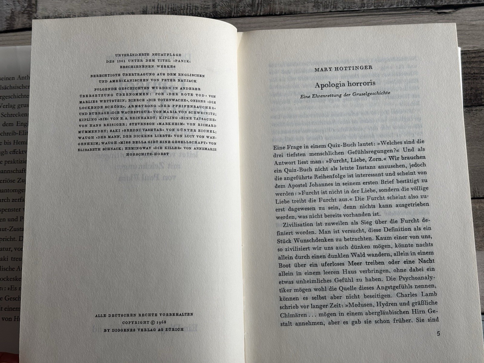 📚Buch Gruselgeschichten Poe bis Hemingway – Diogenes Sonderband mit Zeichnungen