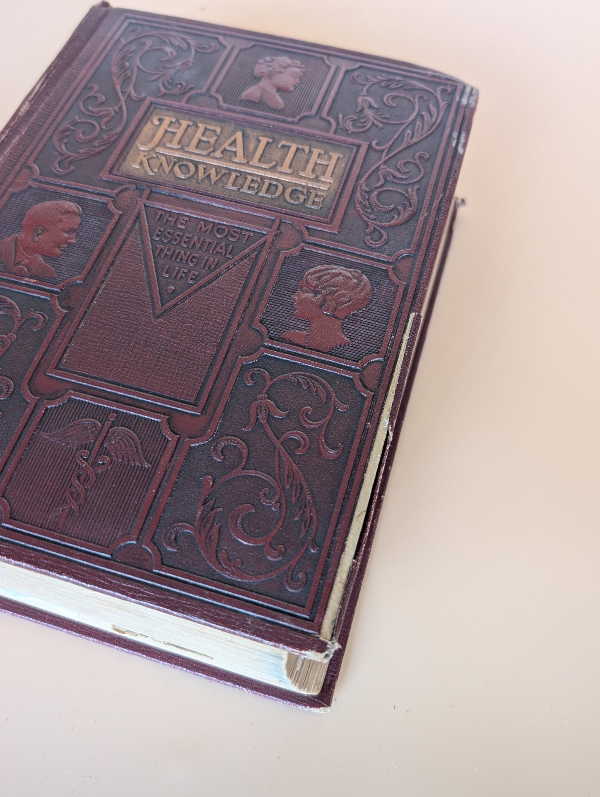 Health Knowledge 2 Vol Set 1927 Medical Anatomy Flap Illustrations Corish