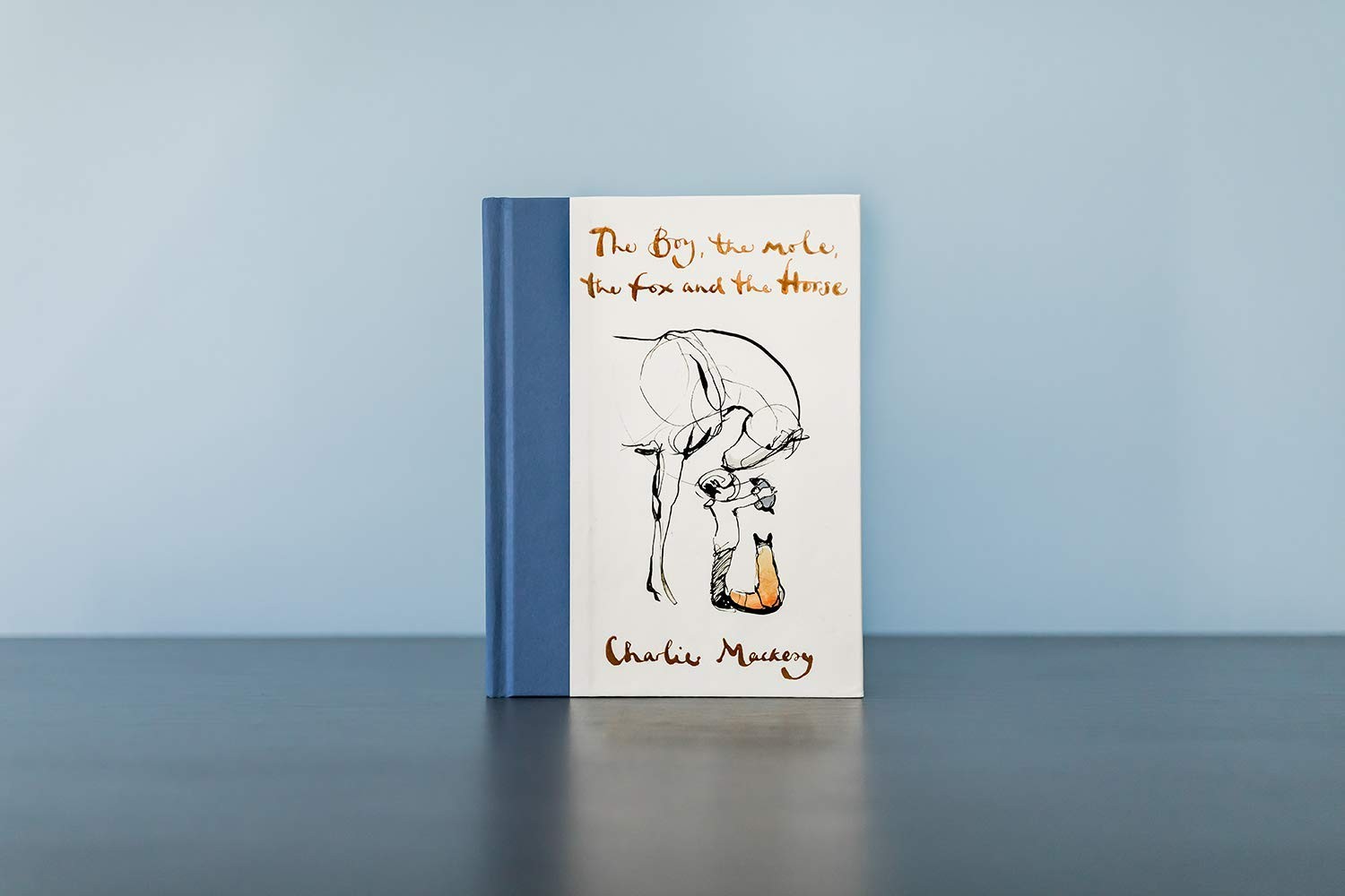 The Boy, the Mole, the Fox and the Horse: Inspiring Conversations on Hope, Love