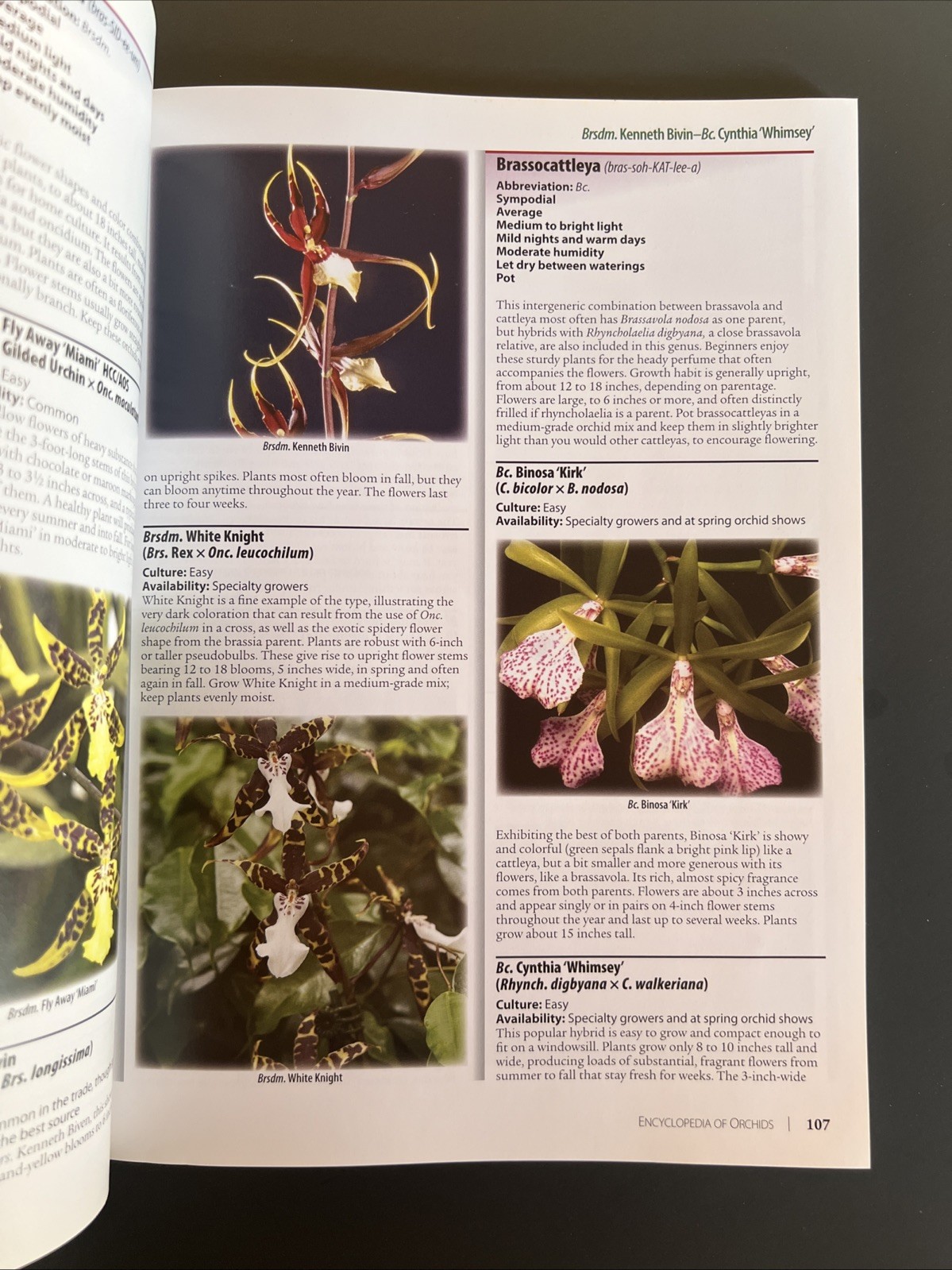 Orchids : Grow Beautiful Flowers with Confidence and Ease by Miracle-Gro…