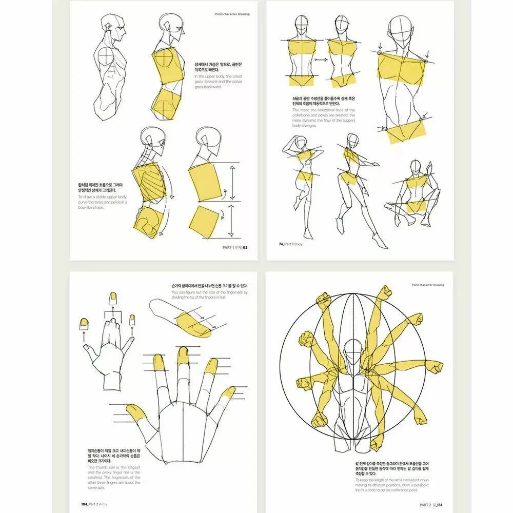 Point Character Drawing 1 + 2 by TACO Art Guide Korean English + Express
