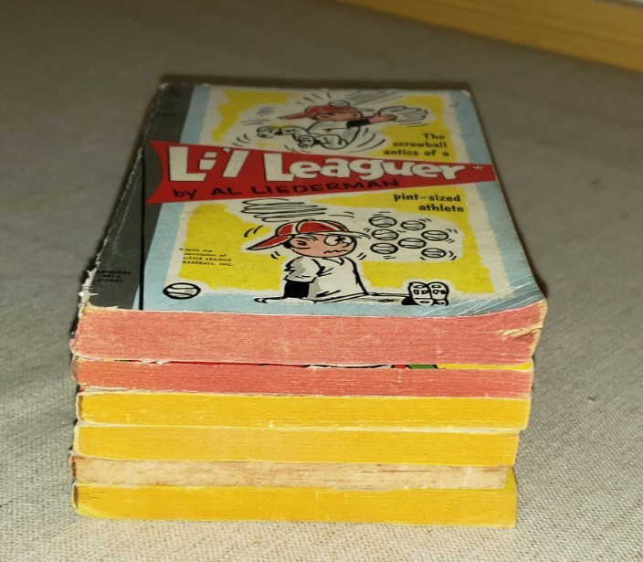 6 VINTAGE PAPERBACK BOOKS SEE DESCRIPTION