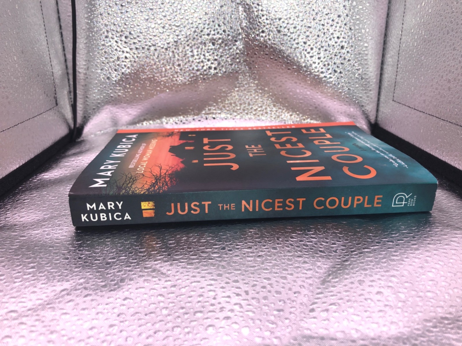 Mary Kubica – Just The Nicest Couples Paperback SEE DESCRIPTION
