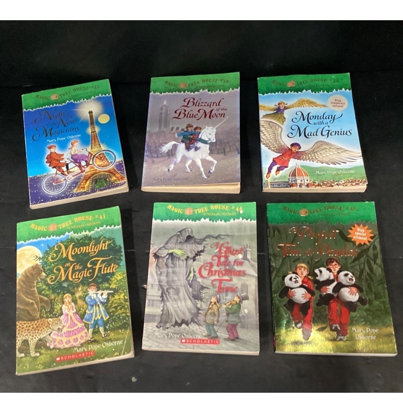 Magic Tree House Book Lot, Mary Pope Osborne 24 Paperbacks Merlin Missions Mixed