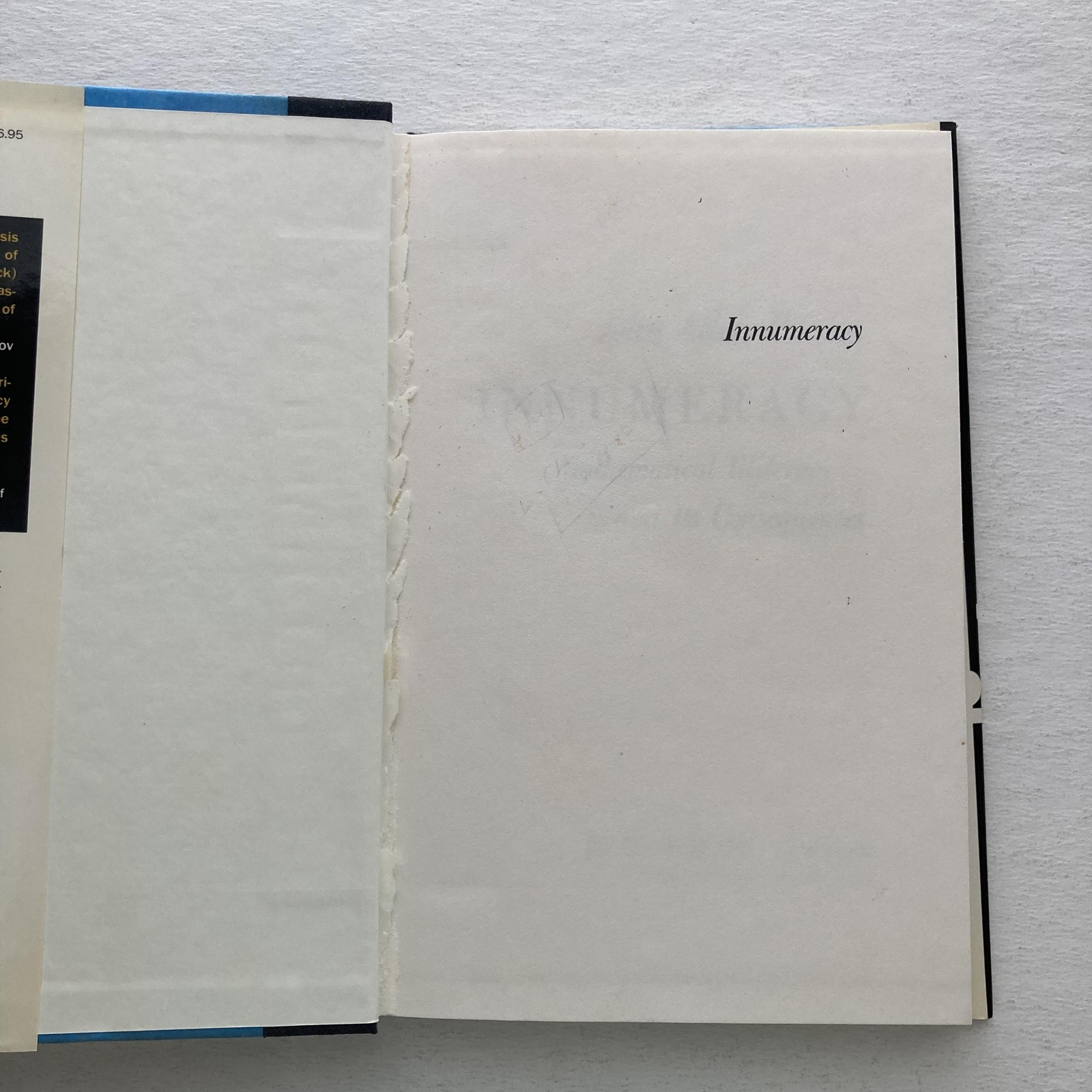 Vintage 1989 Innumeracy John Allen Paulos Hill & Wang Black 1st Ed HC DJ USA