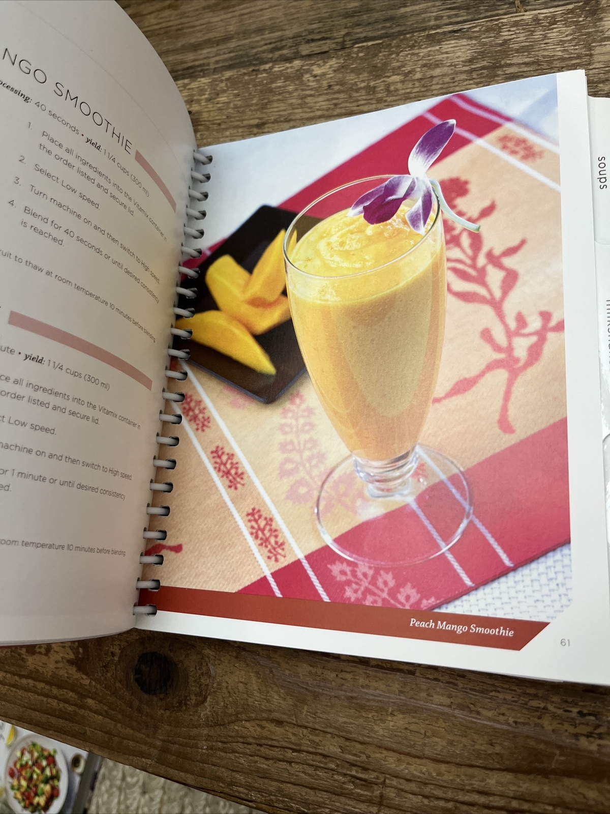 Vitamix CREATIONS Recipe Book 2012 372 Pages Cocktails Milkshakes Soups Breads