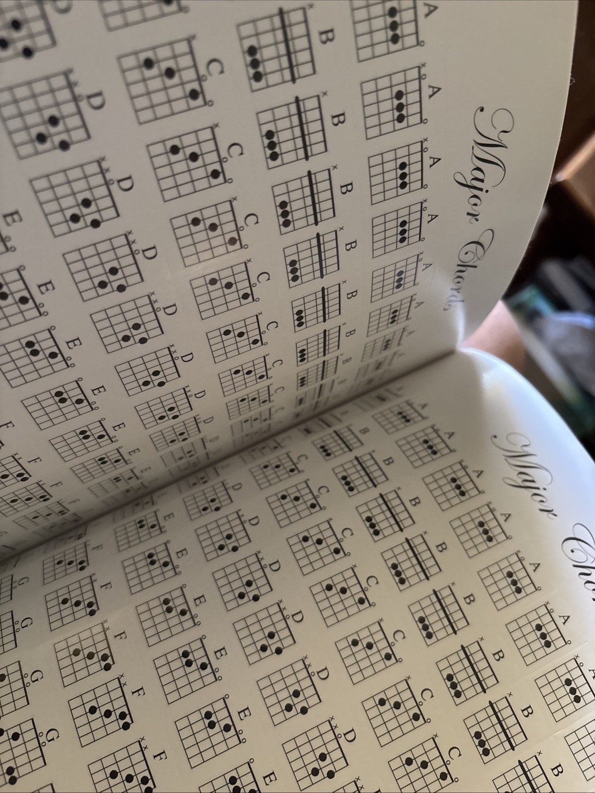 Coguzed 100 Pages Blank Sheet Music Notebook – 26X19cm Staff Paper for Musicians