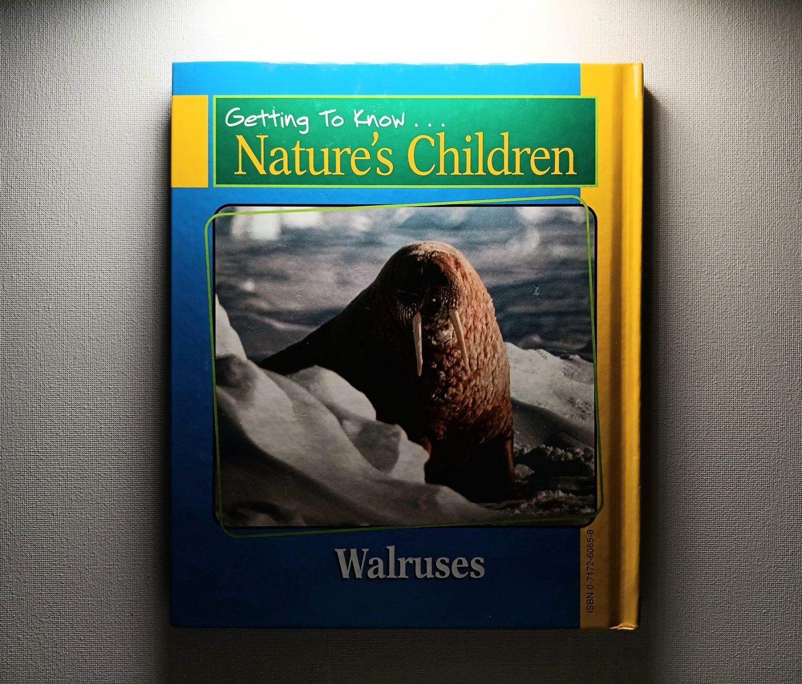 Scholastic Getting to know Nature’s children Animal Books Lot of 6 (hard cover)