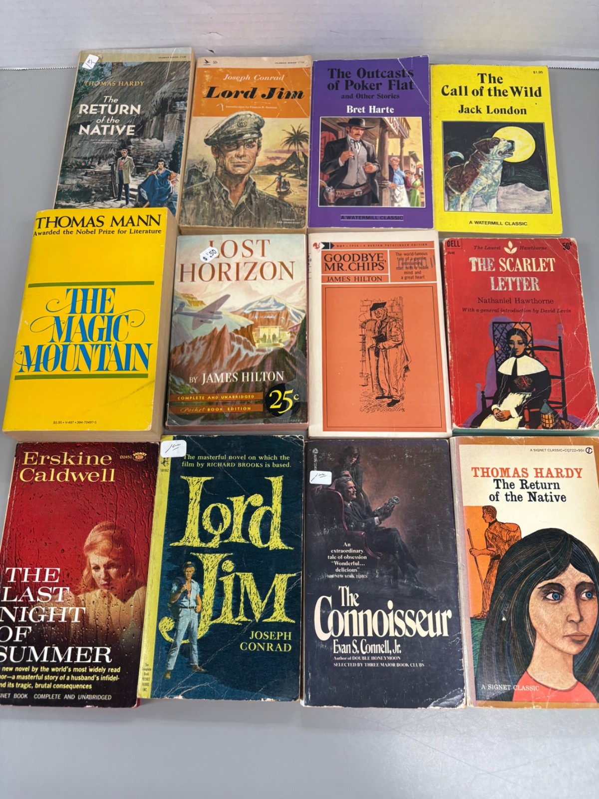Classic Novels Lot of 12 Paperbacks (See Photos for Titles)