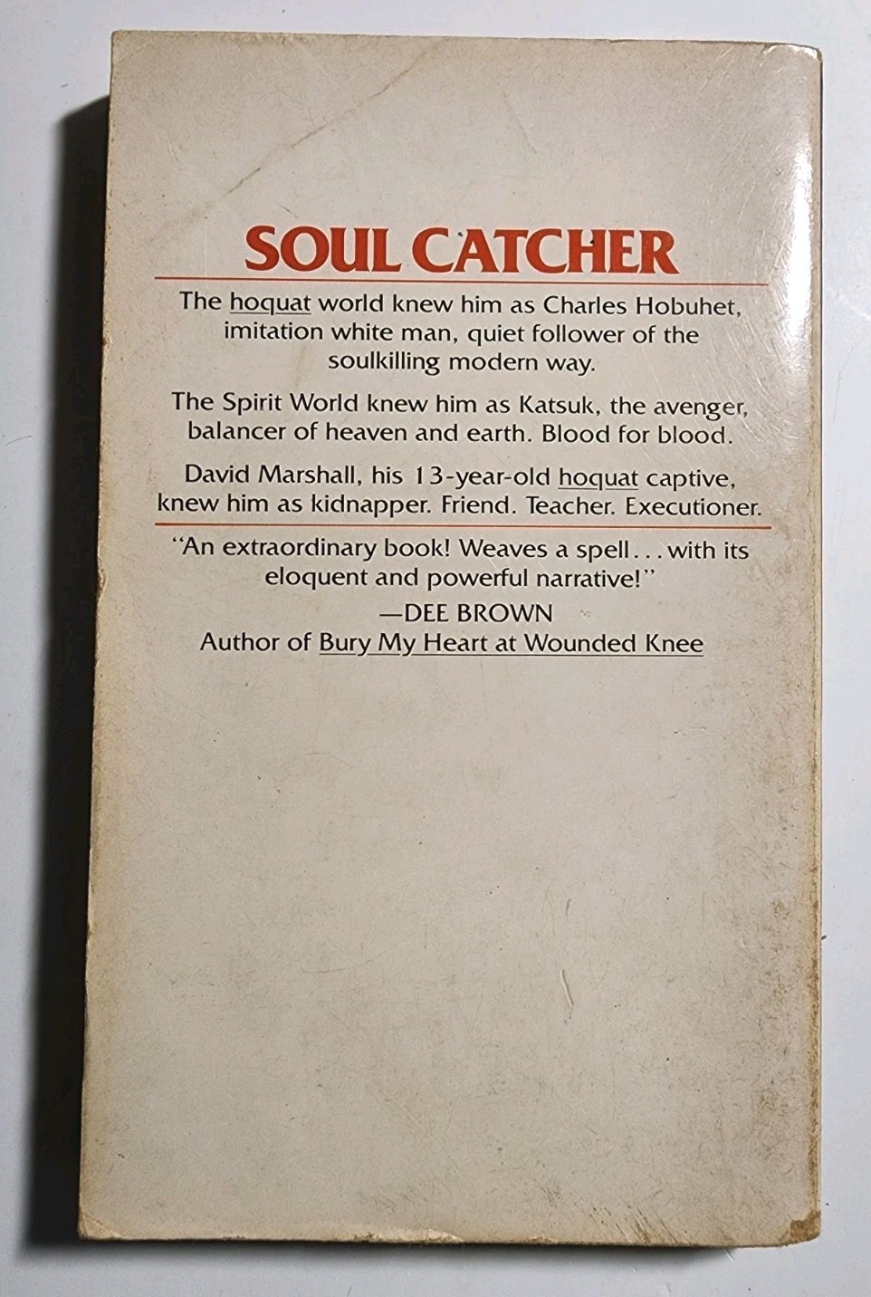 Soul Catcher (Paperback Book)