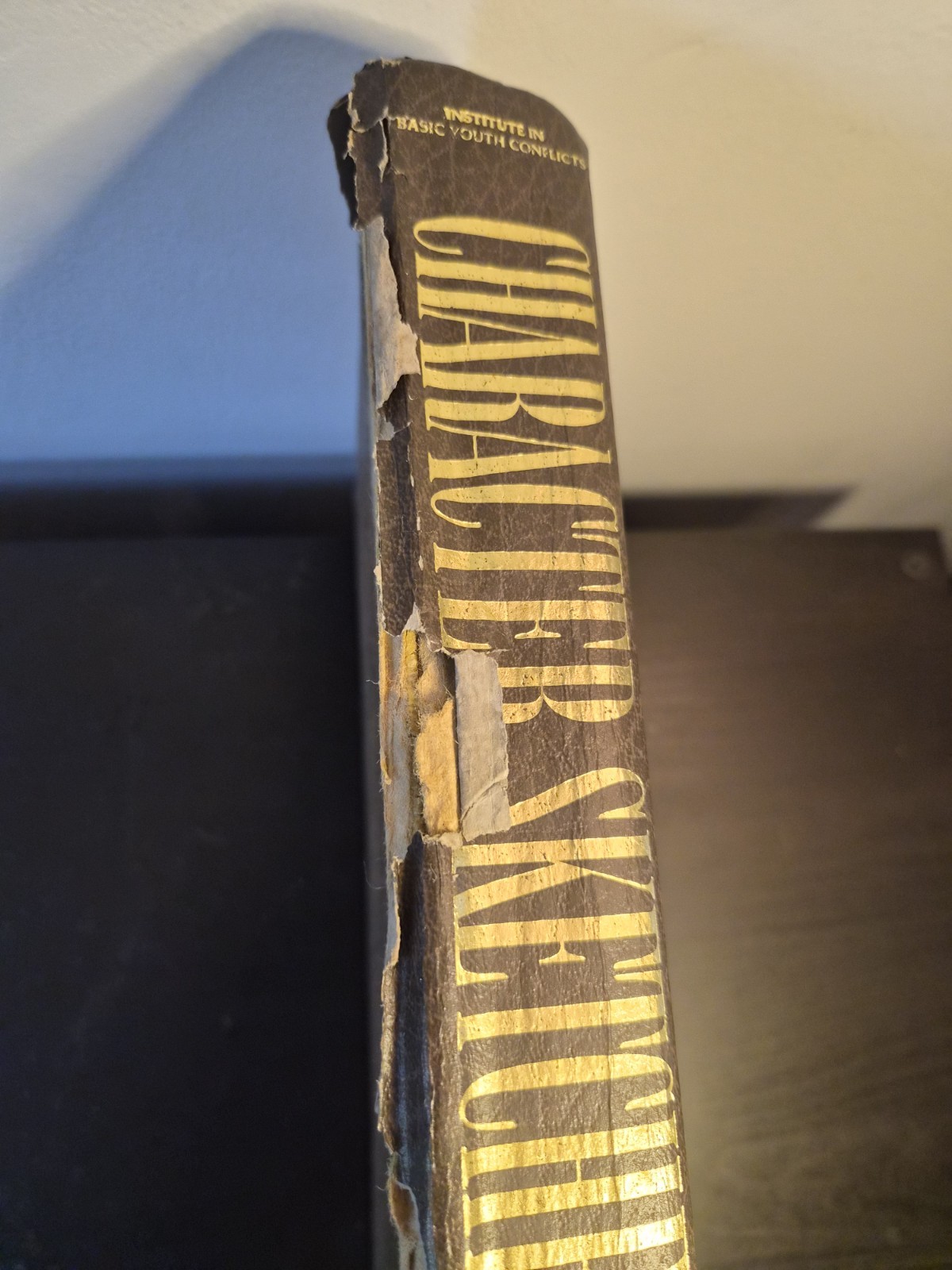 Character Sketches Volume 1, From the Pages of Scripture Fair Condition