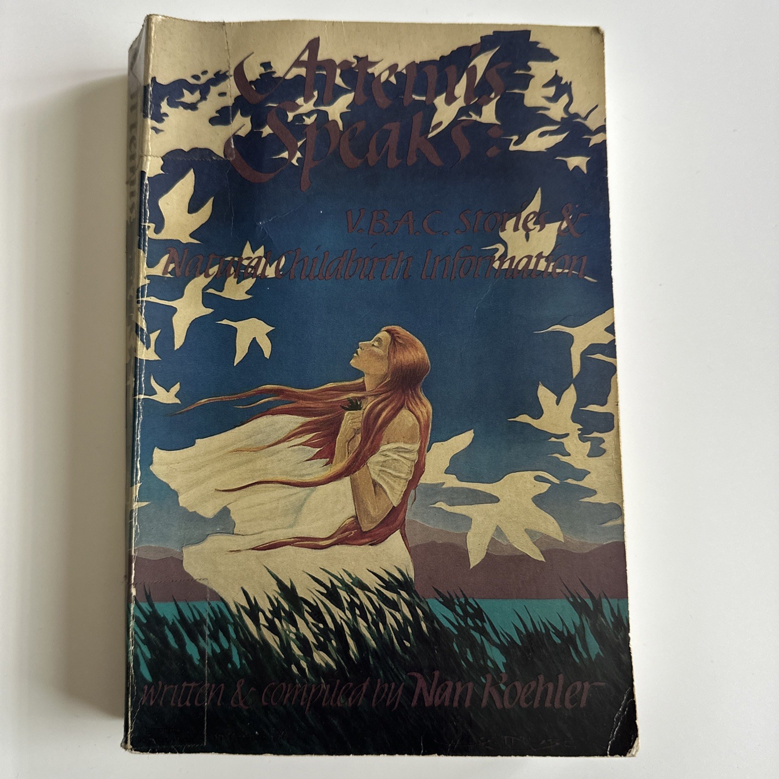 Artemis Speaks , softcover vintage 1985 fabulous VBAC stories & birthing info