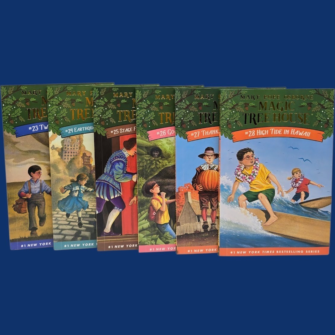 Set 2A: Magic Tree House A Library of Books 1-28 – Mary Pope Osborne Collection