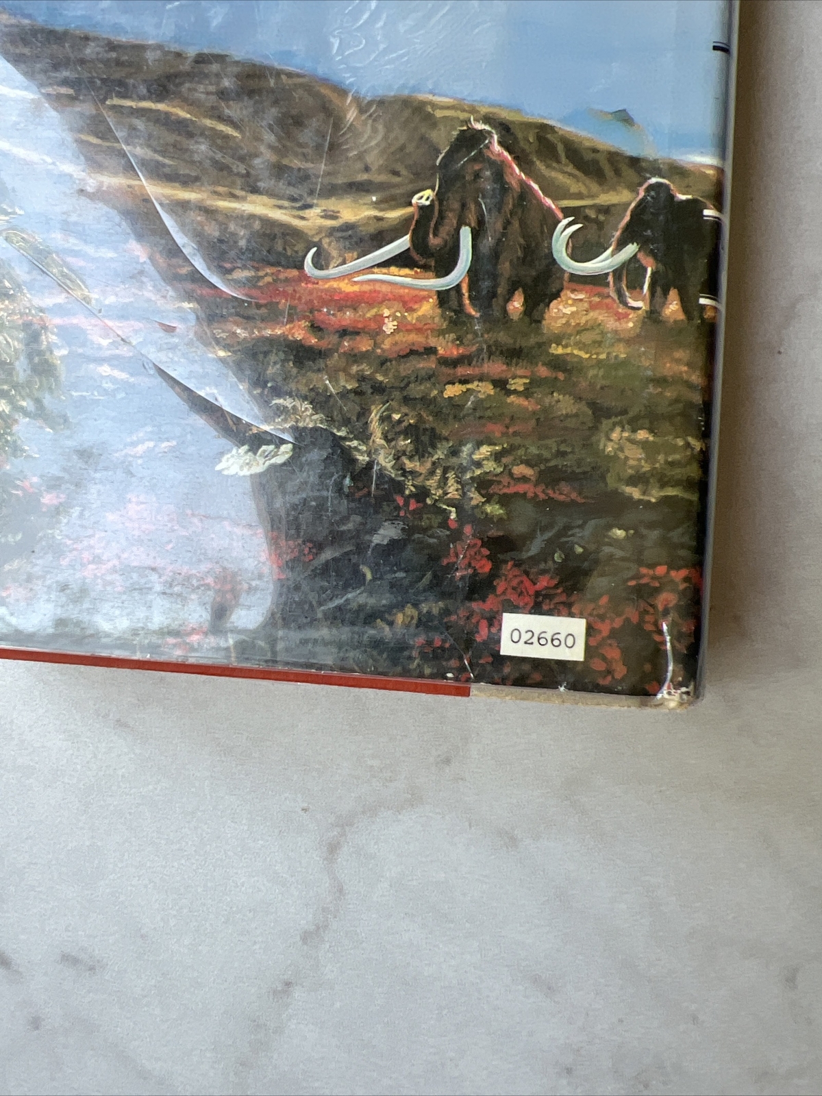 Earth’s Children Ser.: The Mammoth Hunters by Jean M. Auel (1985, Hardcover)