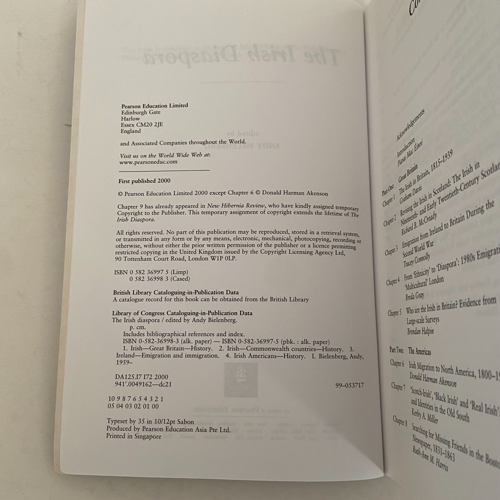 The Irish Diaspora Paperback 2000 Andy Bielenberg