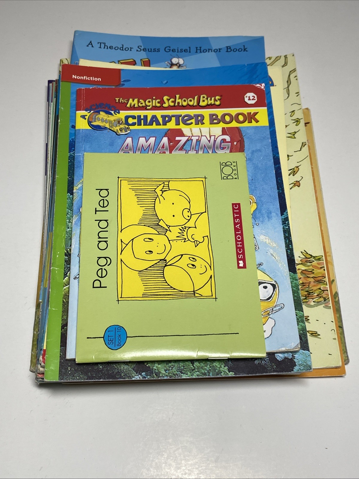 HUGE CHILDRENS BOOK LOT Of 16 Miscellaneous Scholastic Reader