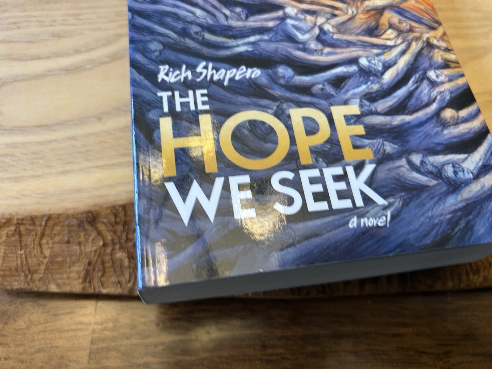 The Hope We Seek. Rich Shapero. 432 Pages. Paperback.