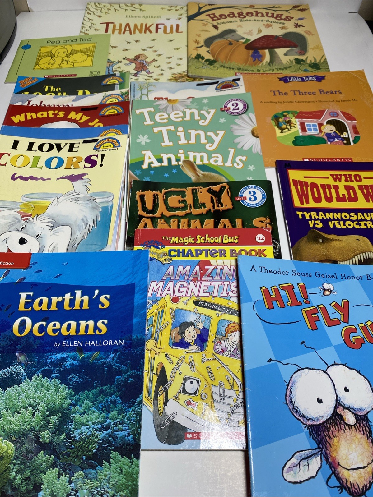 HUGE CHILDRENS BOOK LOT Of 16 Miscellaneous Scholastic Reader