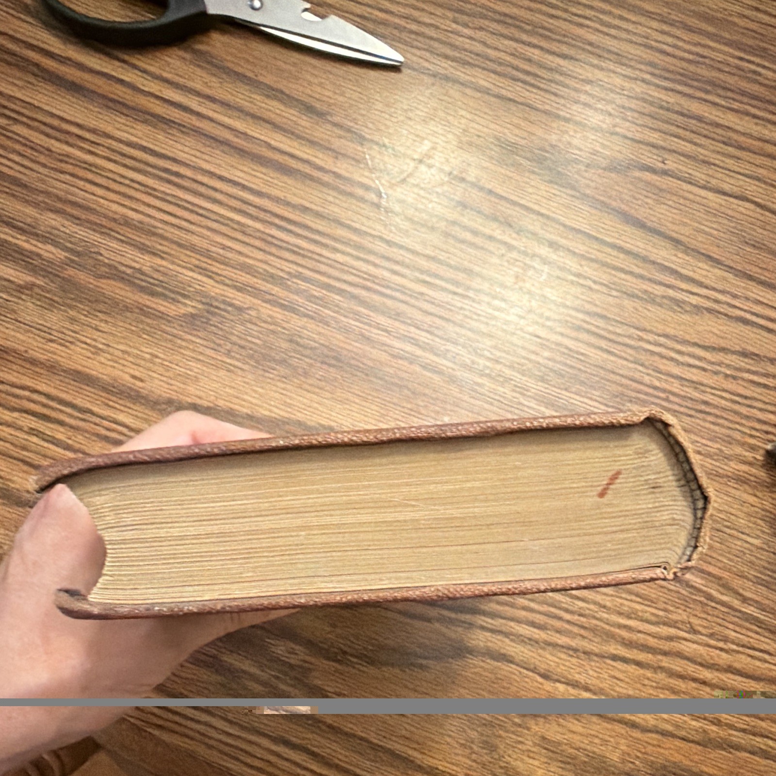 1888 Life of Pope Leo XIII Golden Jubilee Edition Illustrated Catholic Antique