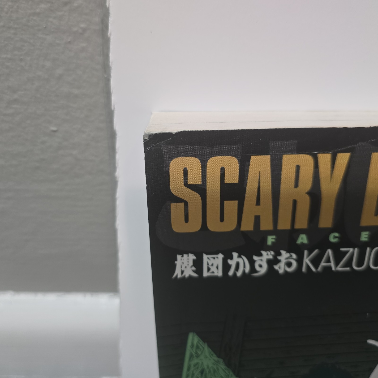 Scary Book Volume 3: Faces by Umezu, Kazuo Paperback / softback Book The Fast