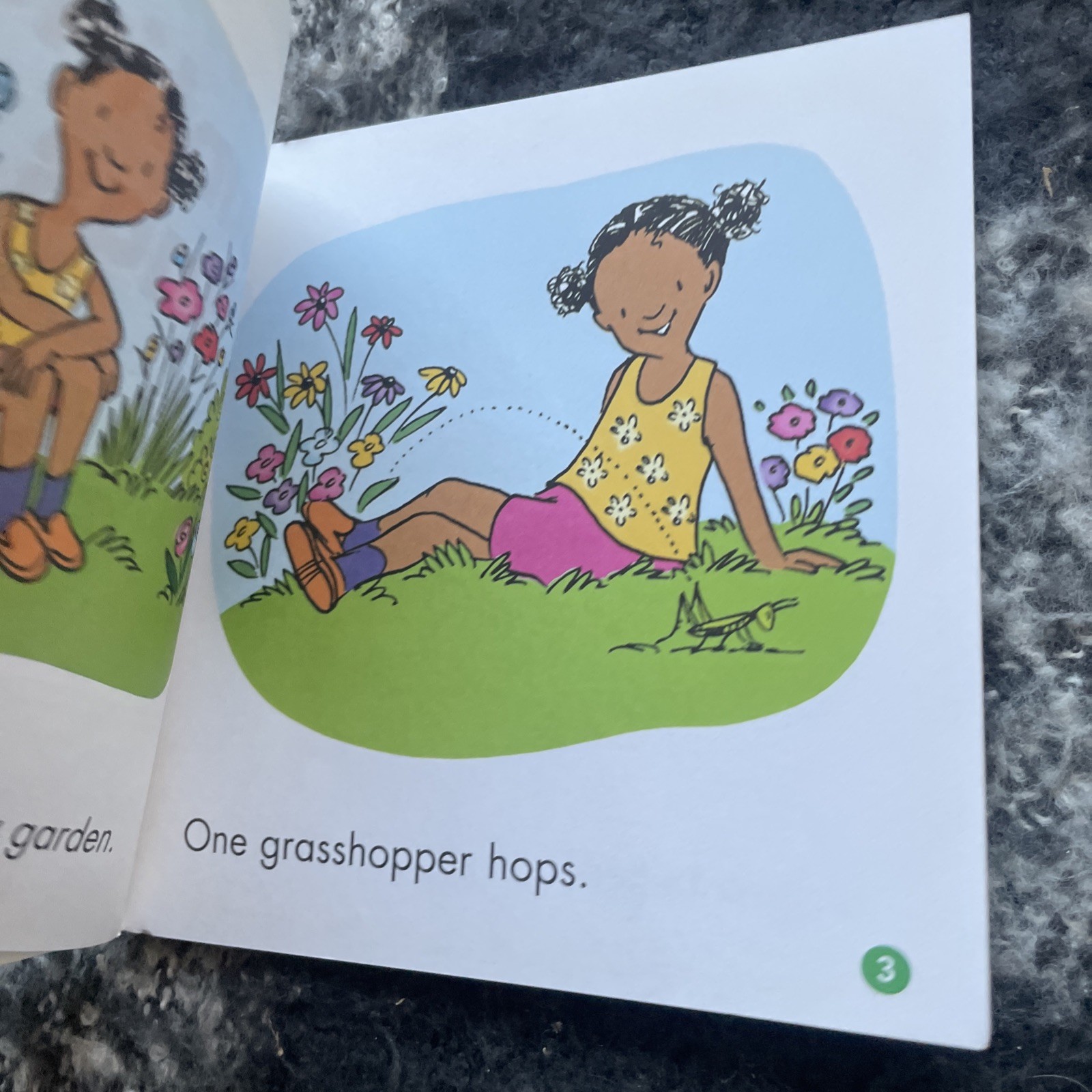 FIRST LITTLE READERS, LIZ CHARLESWORTH, COUNTING BUGS, 14 by 14CM