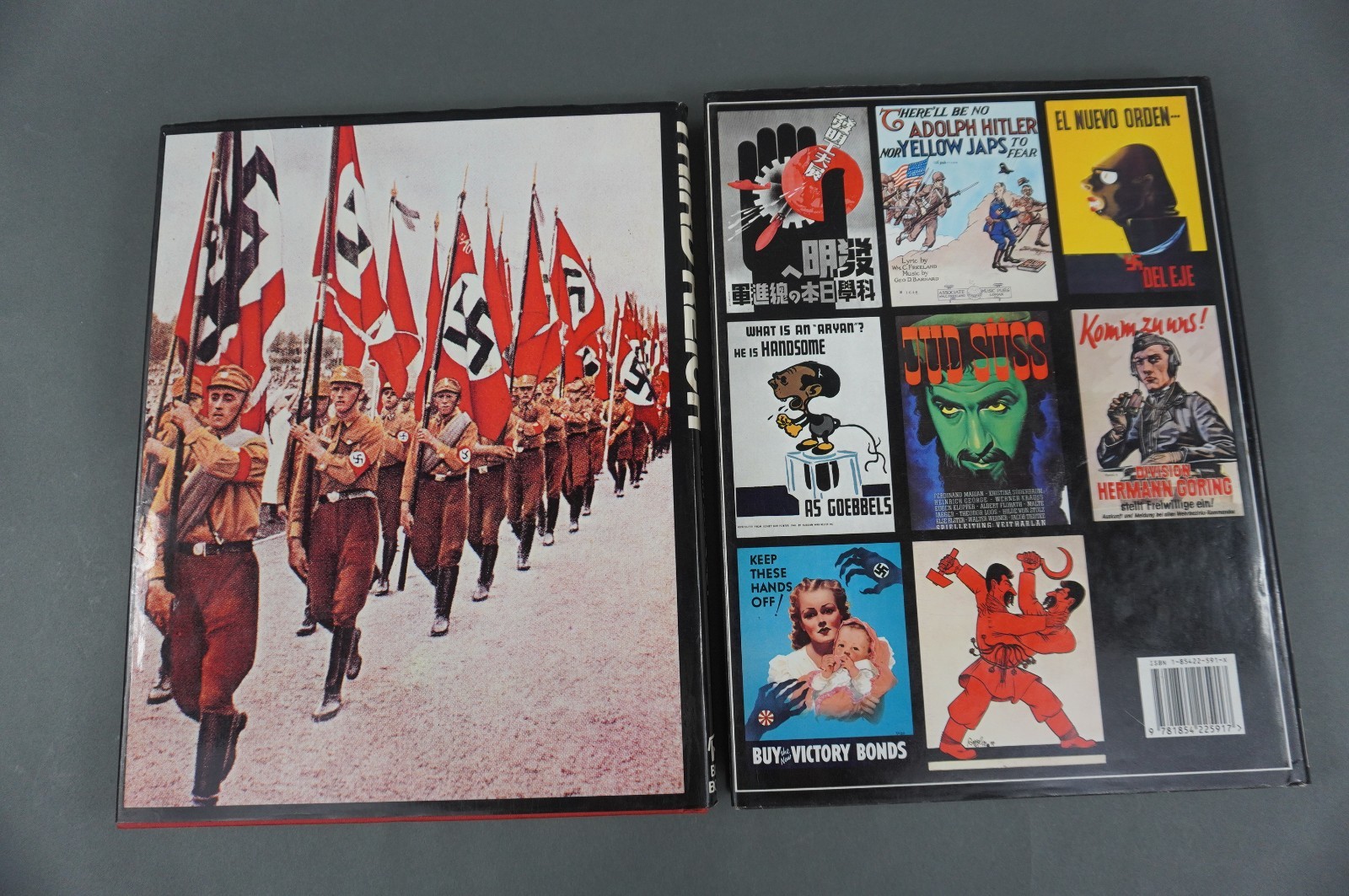 Third Reich Illustrated History & WWII Propaganda Hardcover Books Lot of 2