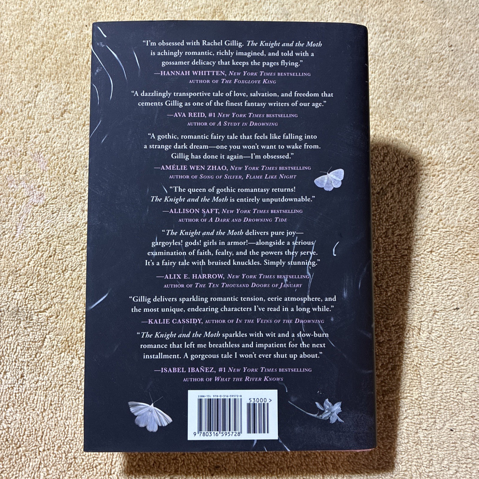 The Knight and the Moth by Rachel Gillig TARGET EXCLUSIVE EDITION