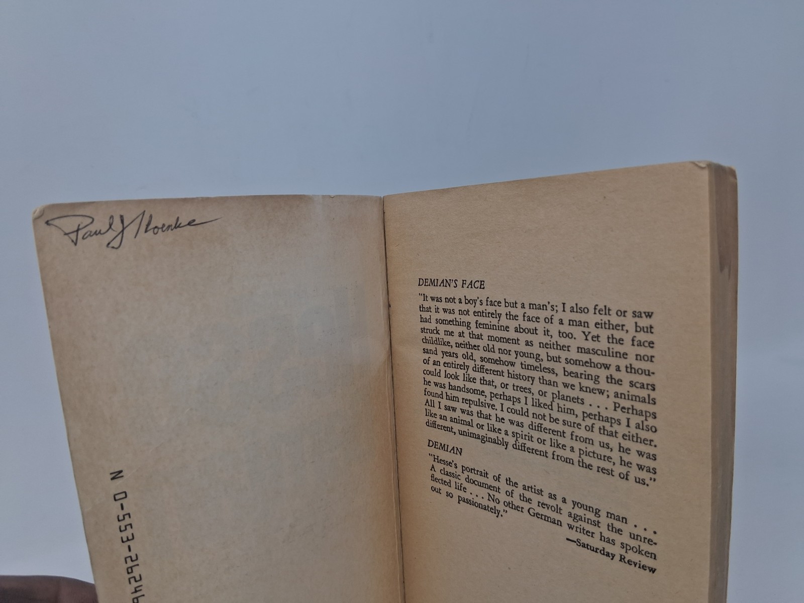 HERMANN HESSE 3 VINTAGE PB BOOKS: DEMIAN, STEPPENWOLF, NARCISSUS GOLDMUND BANTAM