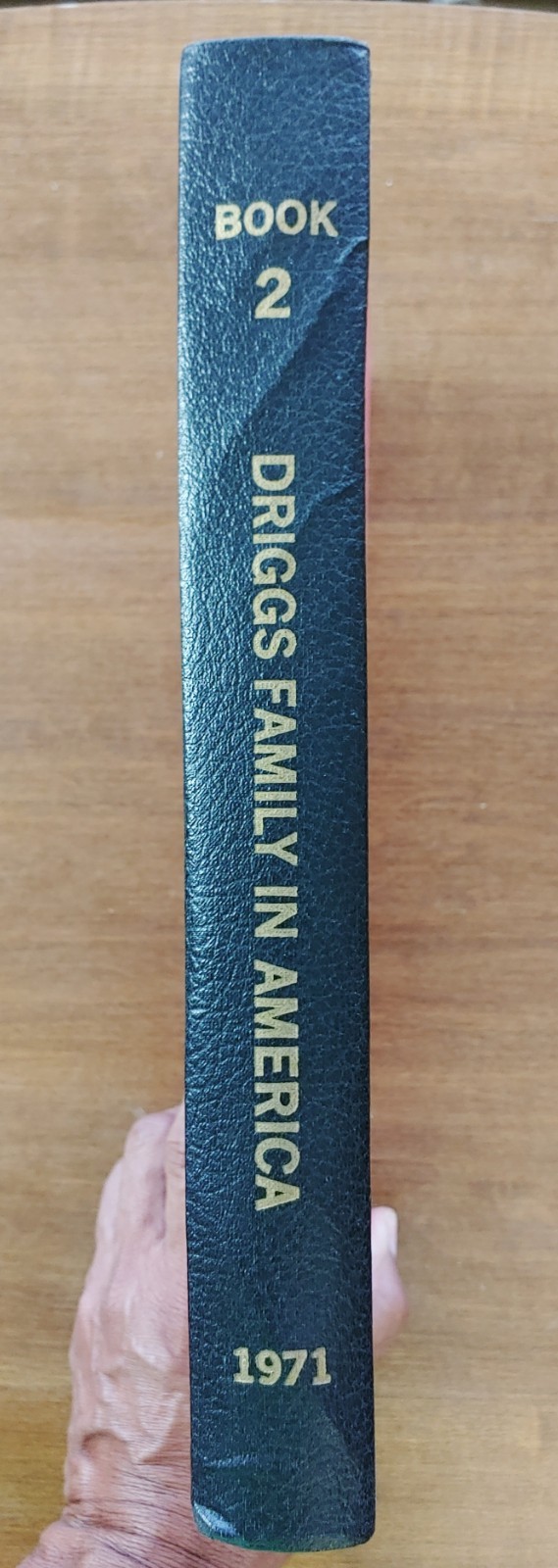 DRIGGS FAMILY HISTORY 2 Vol. LDS Mormon Genealogy History Arizona RARE BOOKS!