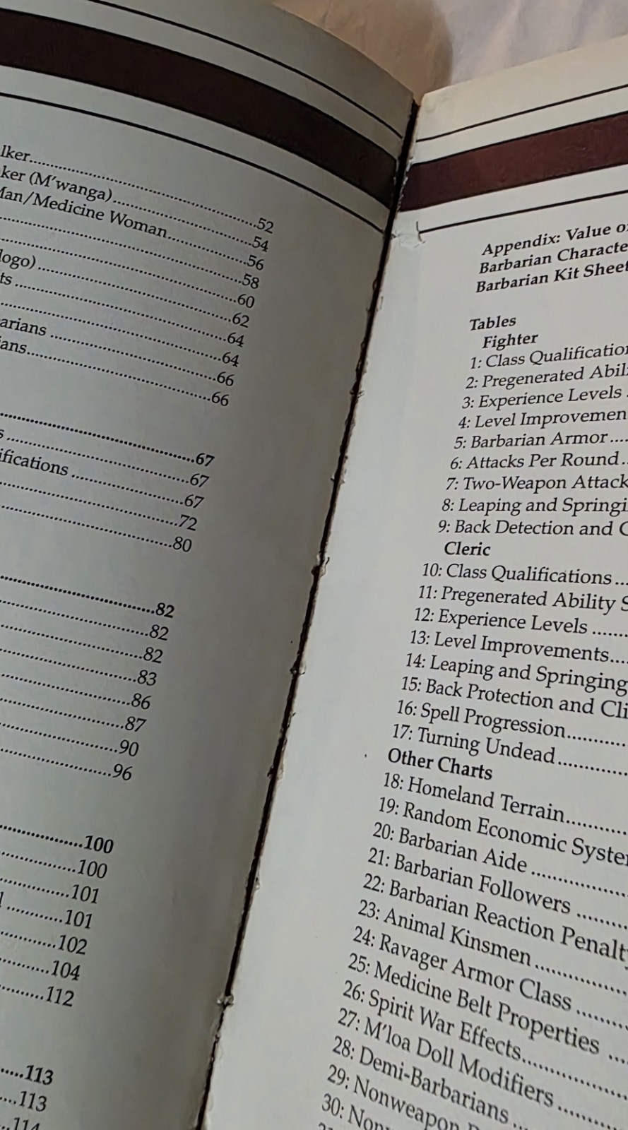 Complete Barbarian’s Handbook : Advanced Dungeons and Dragons Accessory by Rick