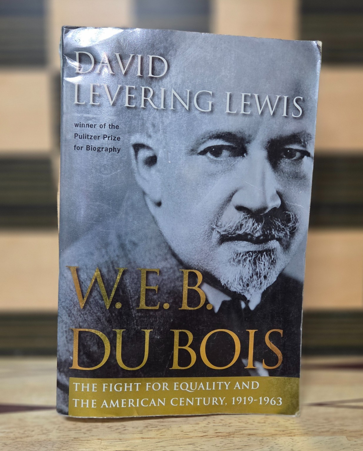 W e B du Bois : The Fight for Equality and the American Century, 1919-1963