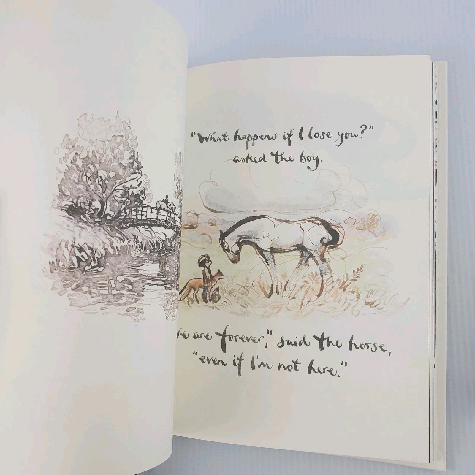 Always Remember & The Boy, The Mole, The Fox, and The Horse by Charlie Mackesy