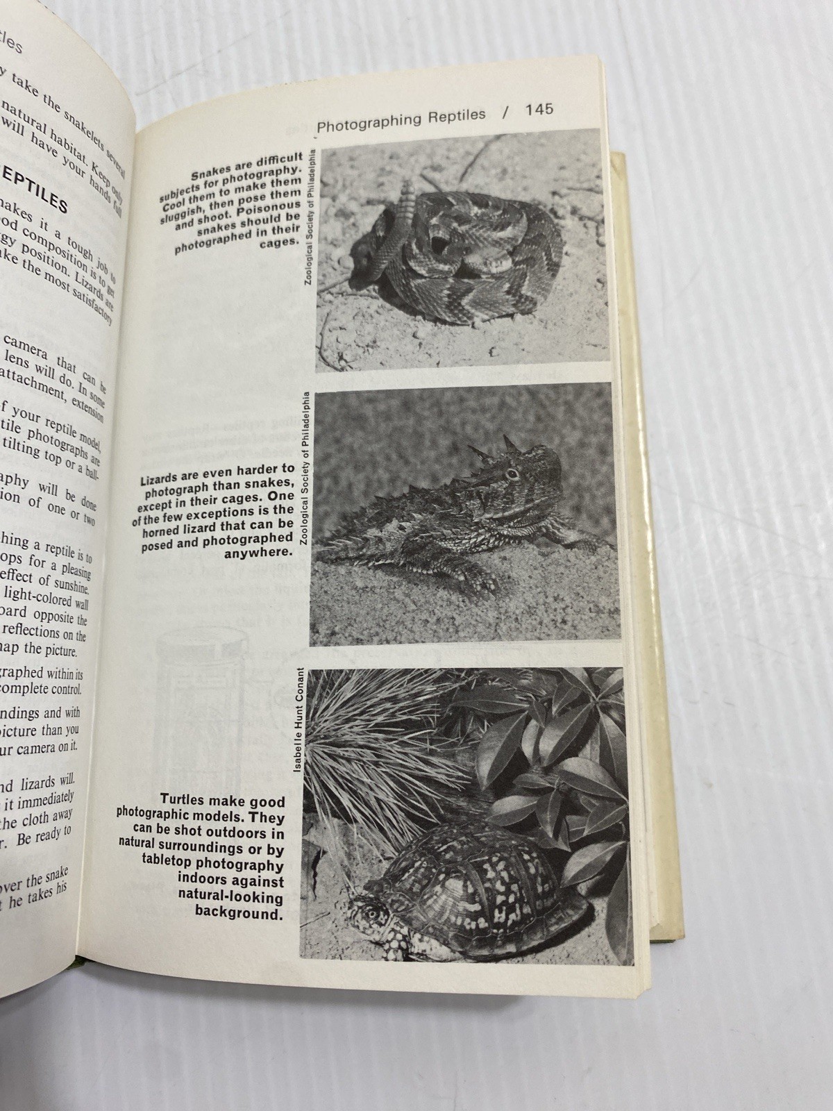 VTG 1970 WILLIAM HILLCOURT NATURE ACTIVITIES AND HOBBIES HC BOOK
