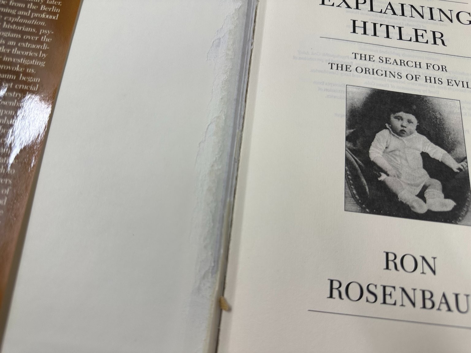 Explaining Hitler Ron Rosenbaum 1998 First Edition Historical Analysis