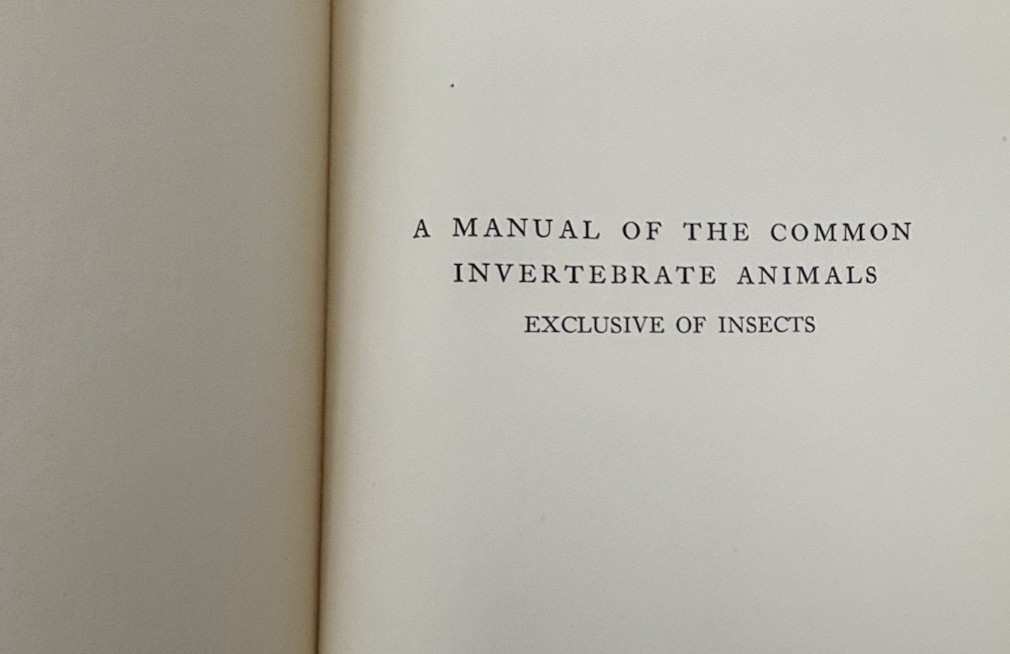 Manual of Common Invertebrate Animals excl. Insects | Revised HC 3lb