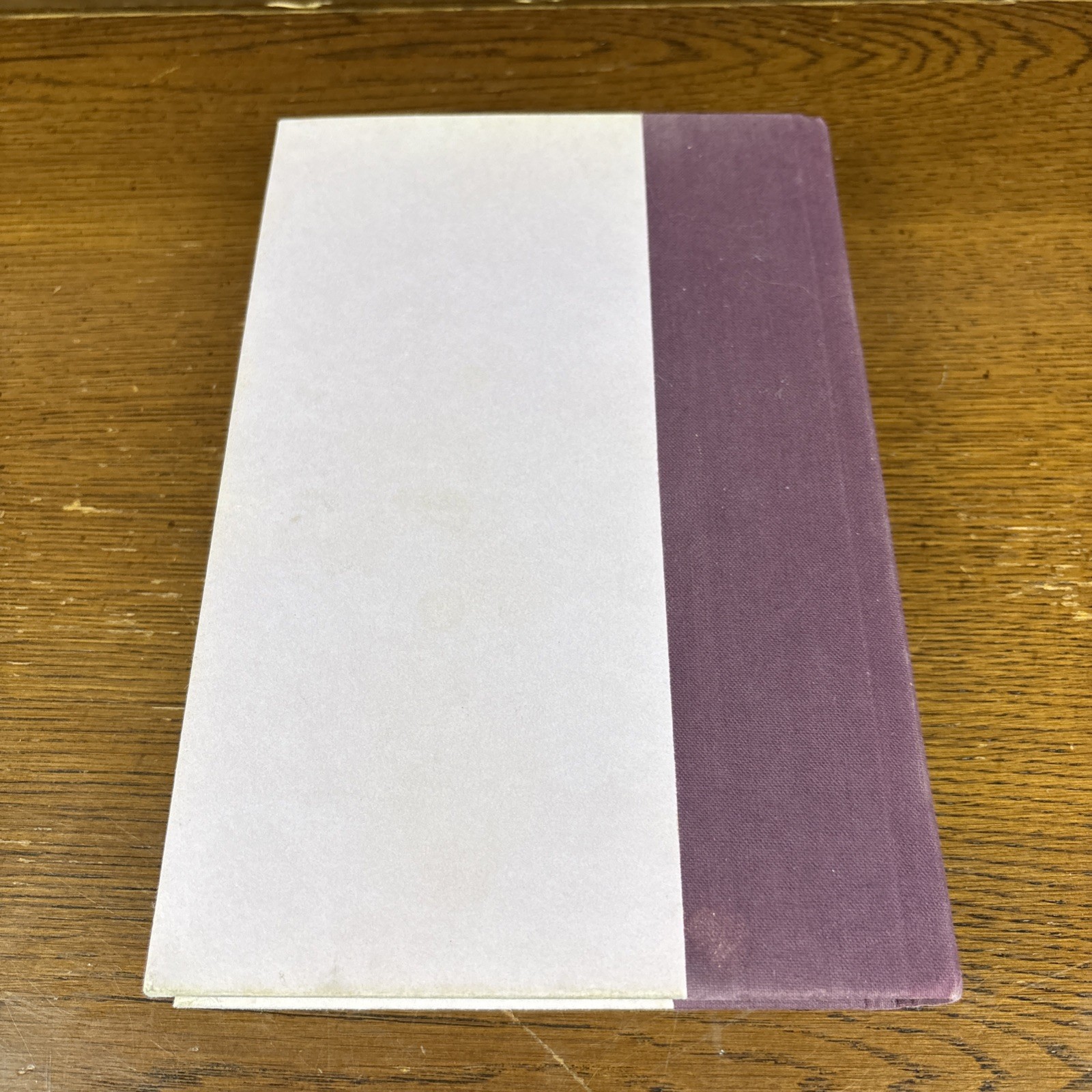 Many Waters by Madeleine L’Engle (1986, Hardcover) First Edition