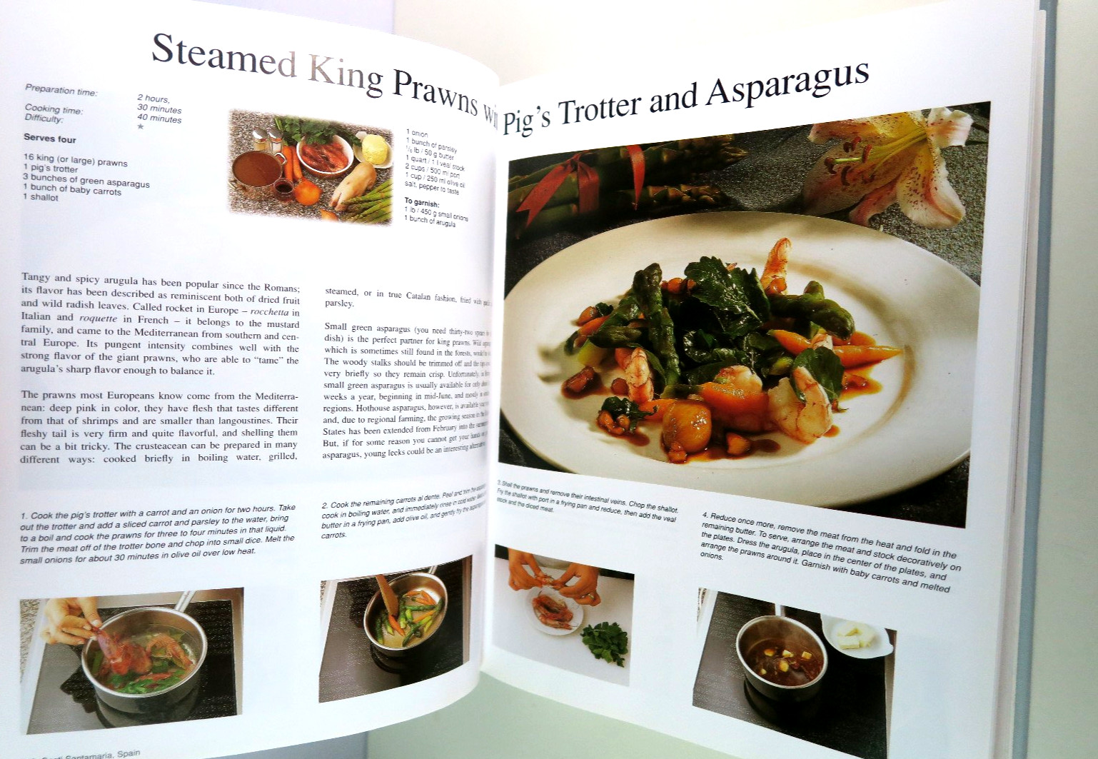 Europe’s Master Chefs – Erodelices and Bellhasen Large Format HC/DJ ©2004