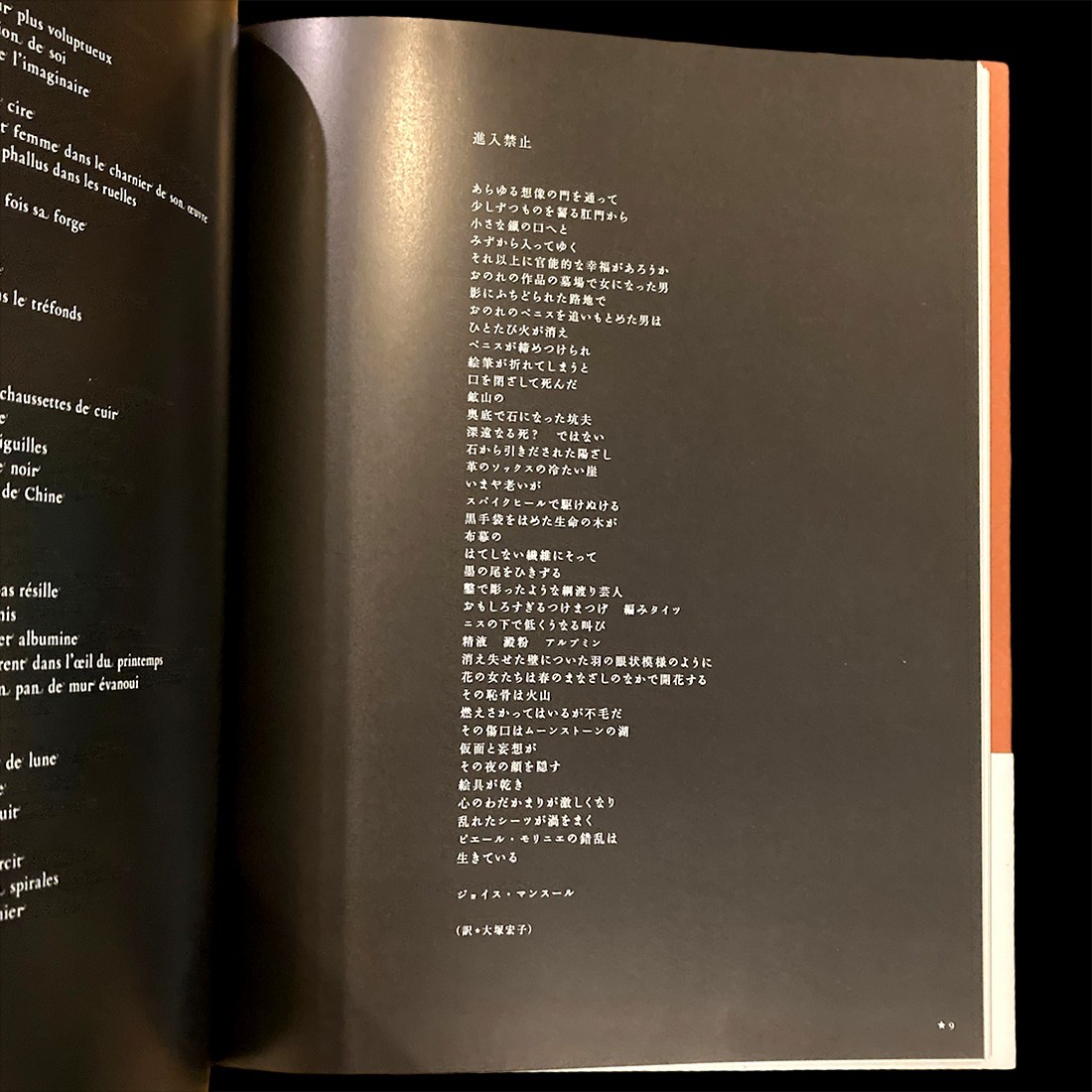 Pierre Molinier Art Book Pan-Exotica 2007 Treville Japan Surrealism Fetish