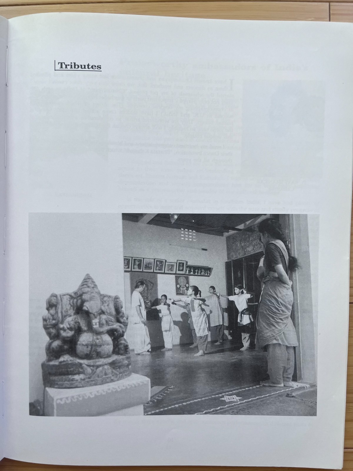 India Dance History – Bharata Kalanjali Classical Academy – Chennai Tamil Nadu