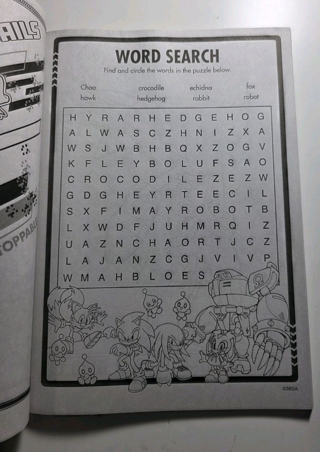 Sonic Coloring Book for Kids 80 Detailed Pages Coloring & Activity Book New