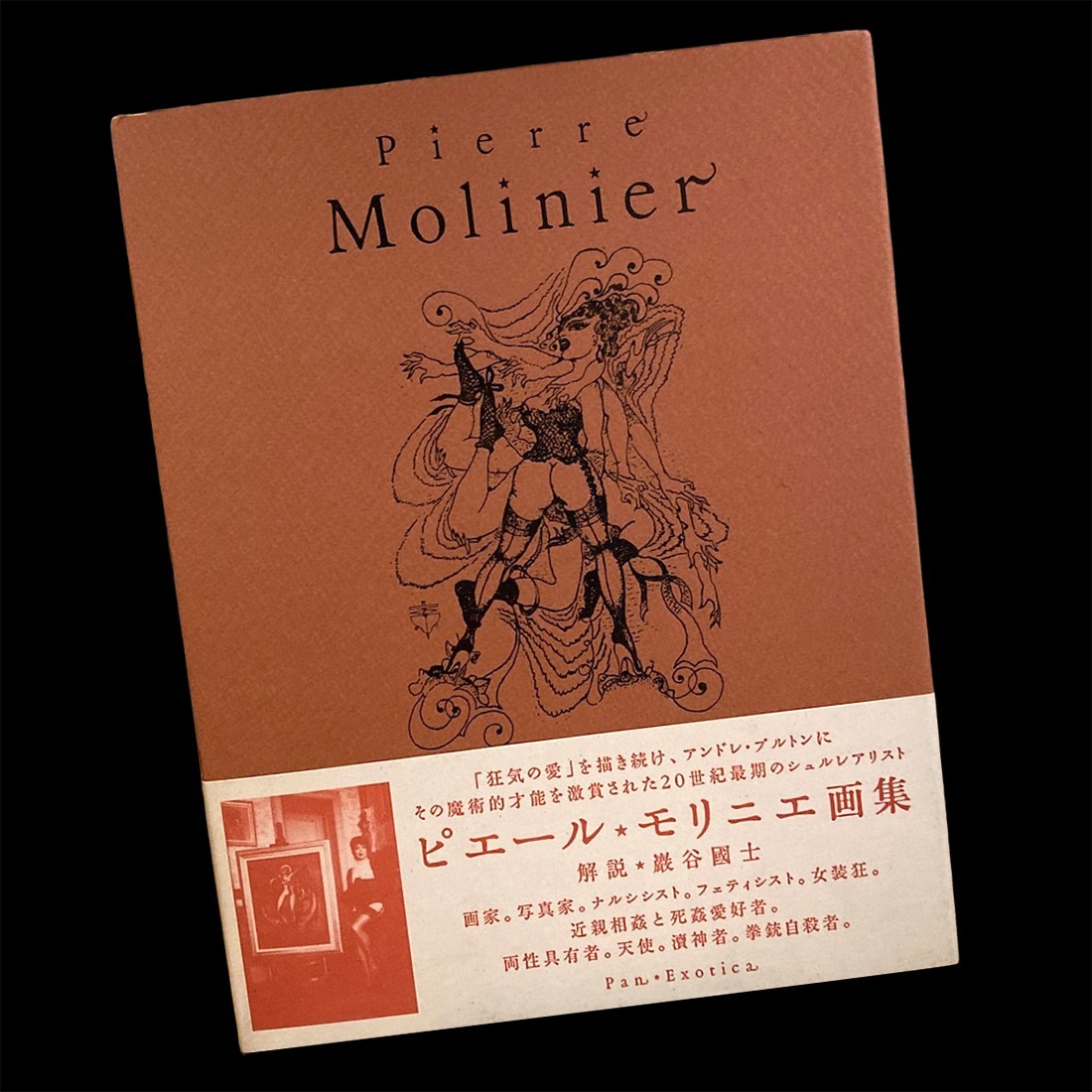 Pierre Molinier Art Book Pan-Exotica 2007 Treville Japan Surrealism Fetish