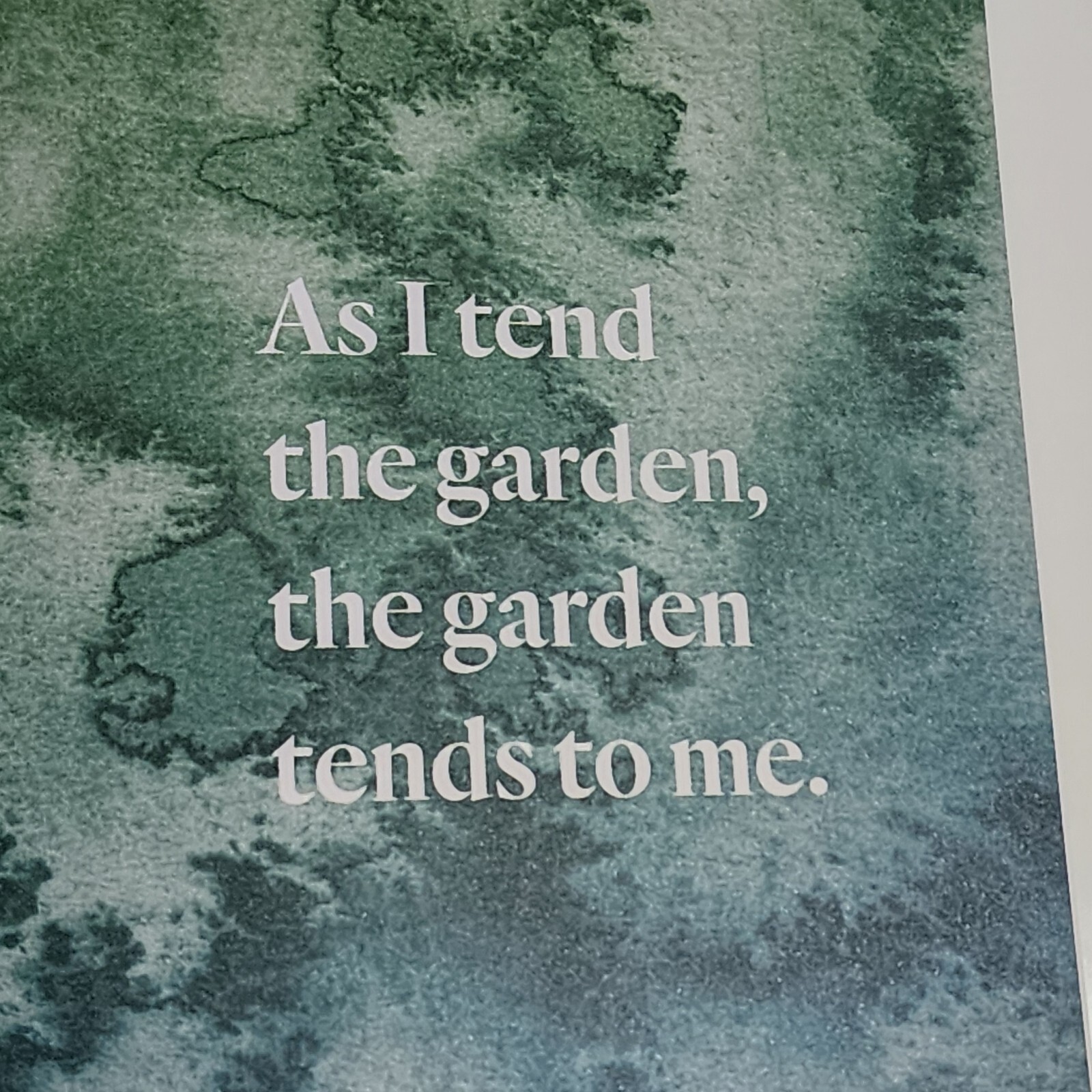 Grow Curious