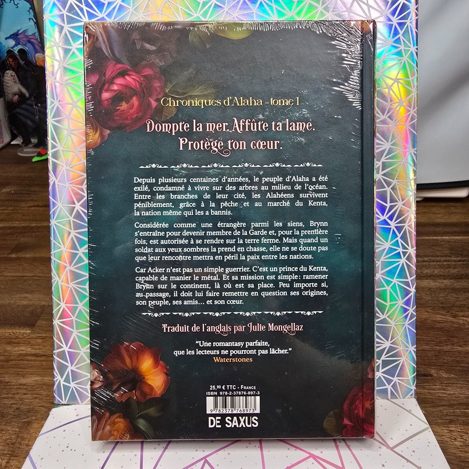 Metal Slinger French Retail Edition Rachael Schneider Fantasy Romance