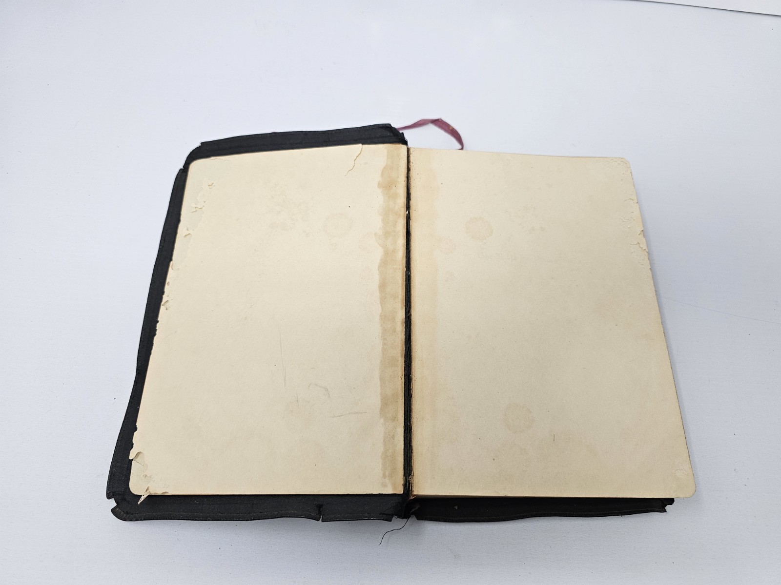 The Bible for Young Folks 1945 Illustrated Gold Gilt Page Edges Red Letter Ed.