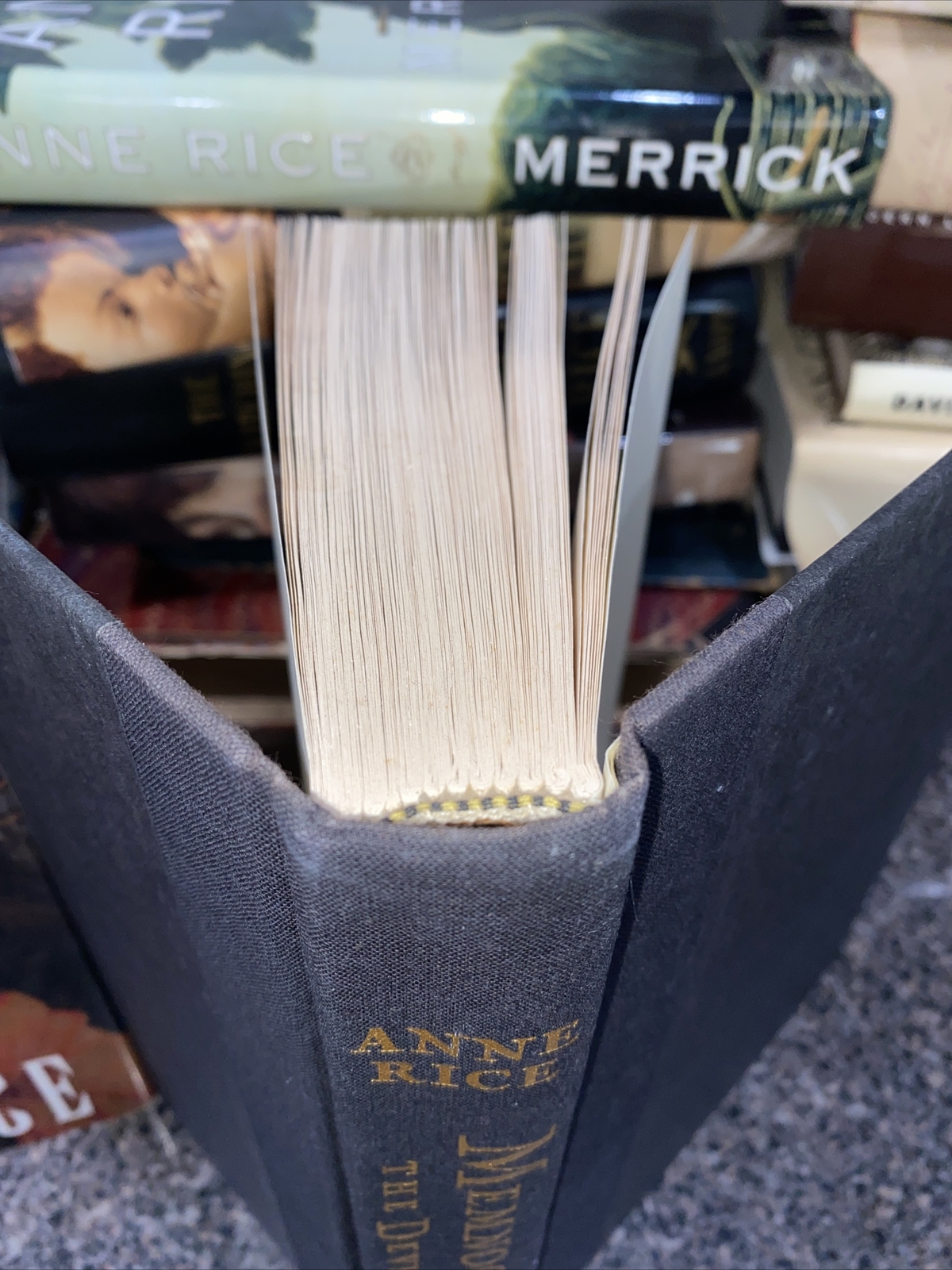 Vampire Chronicles Ser.: Memnoch the Devil : The Vampire Chronicles by Anne…