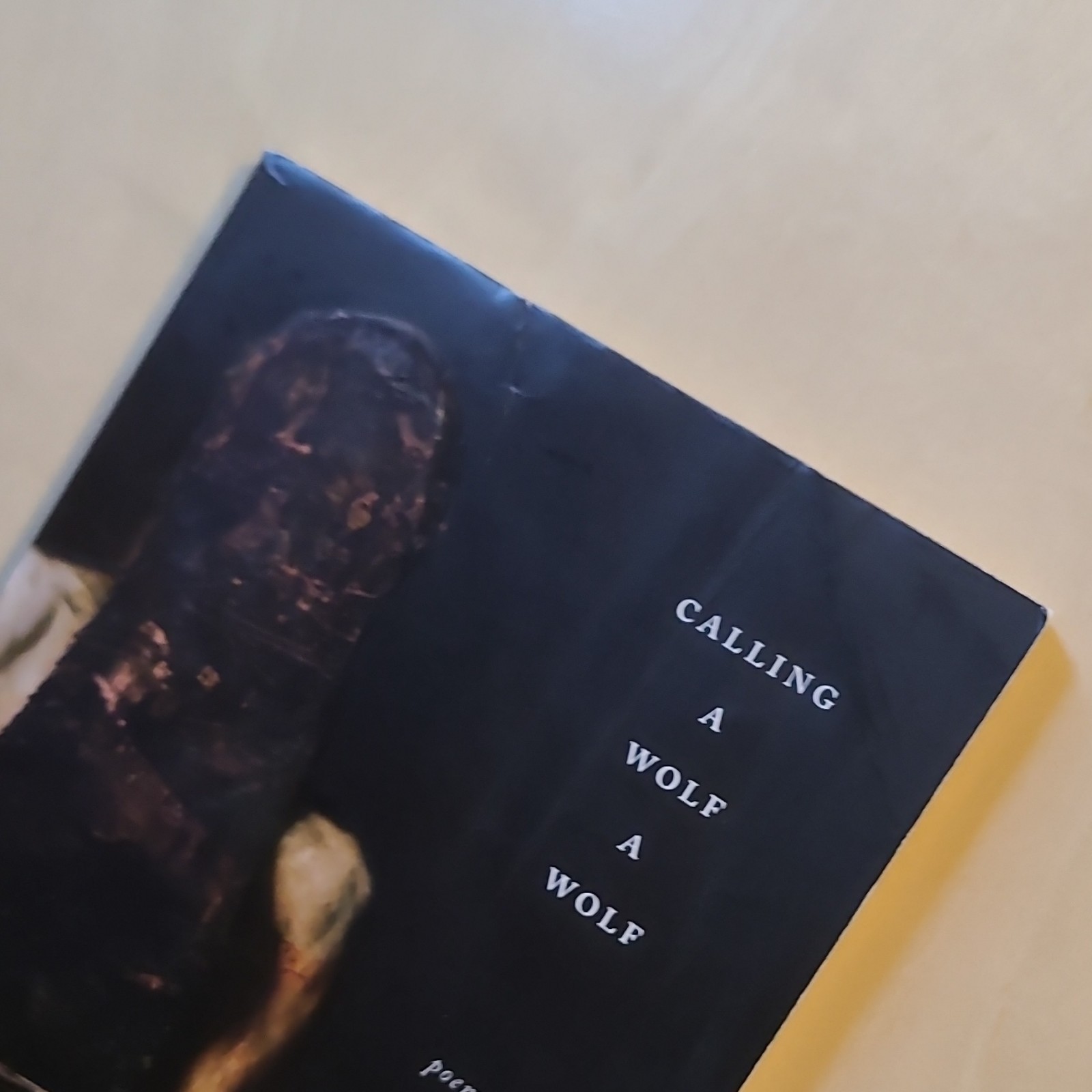 Poetry Bundle: Rumi & Kaveh Akbar: Essential Rumi, Calling a Wolf a Wolf