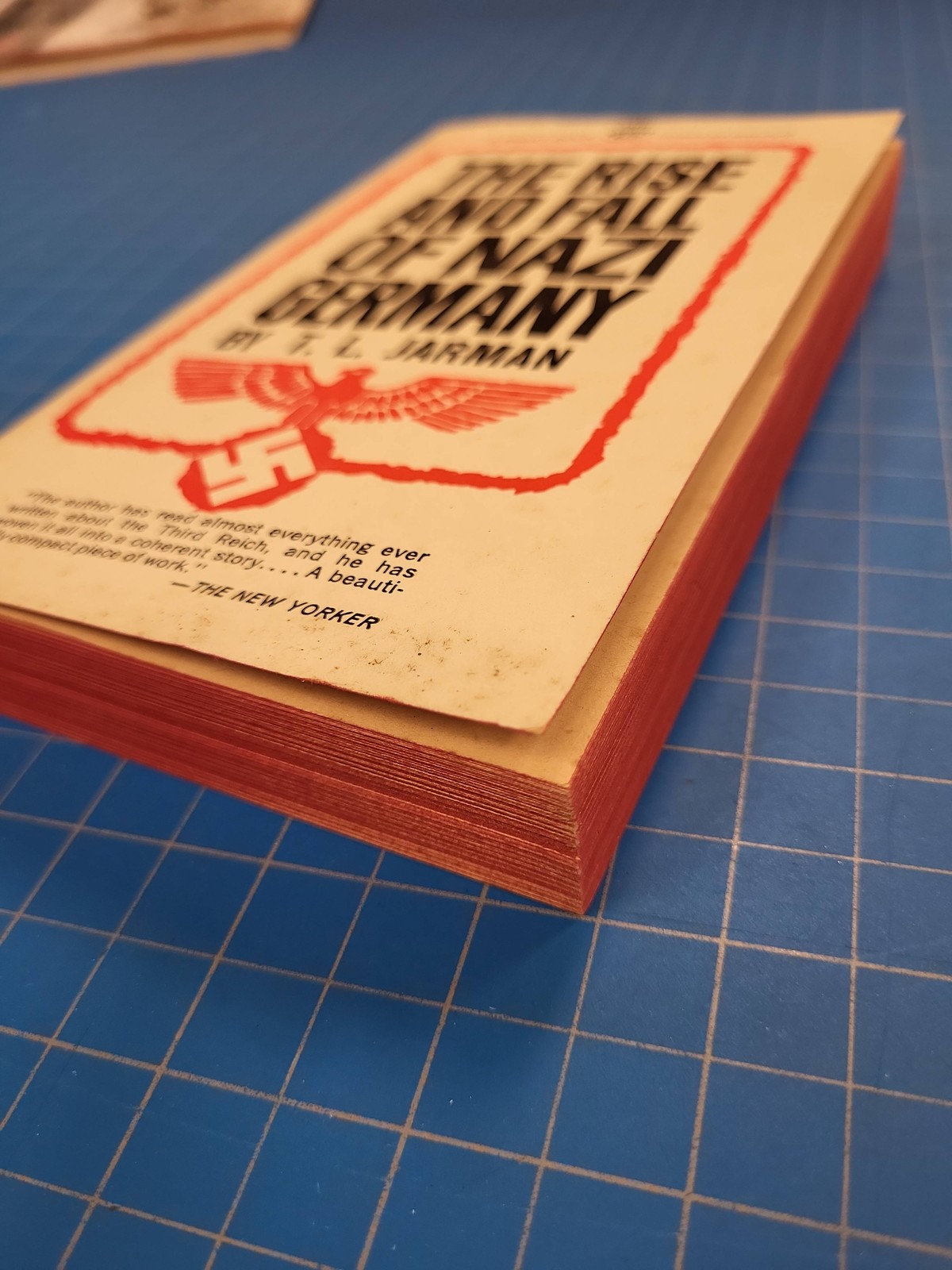 Signet Book The Rise Fall Nazi Germany by T L Jarman First Printing June 1961